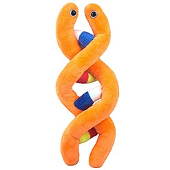 Peluche originale en forme de molécule d'ADN