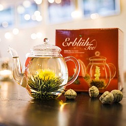 Coffret cadeau contenant une théière et 6 variétés de fleurs de thé blanc