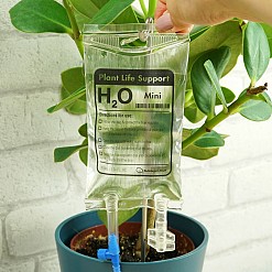 Mini support de vie pour plantes : le système d'arrosage automatique le plus original pour les pots de fleurs