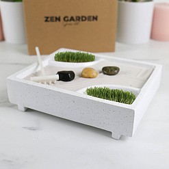 Kit de culture pour mini jardin zen