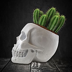 Pot en forme de crâne pour la culture des cactus