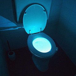 Lampe LED pour les toilettes