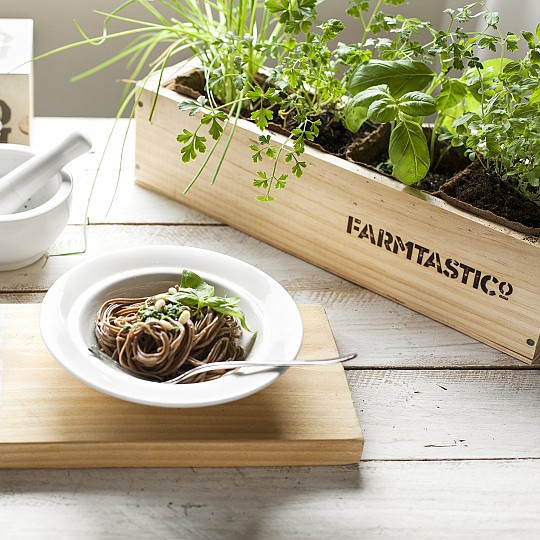 Parfumez vos plats avec des plantes aromatiques de votre propre jardin.