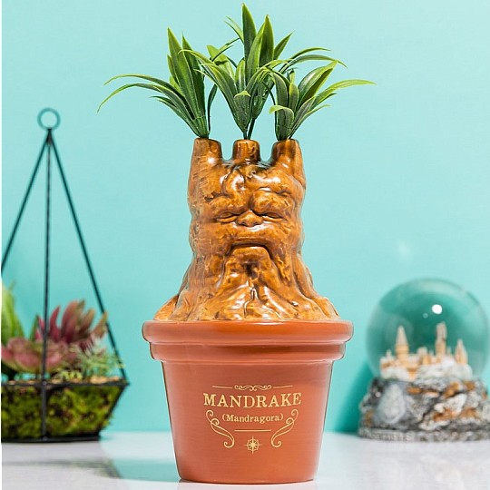 Vase Mandrake Harry Potter