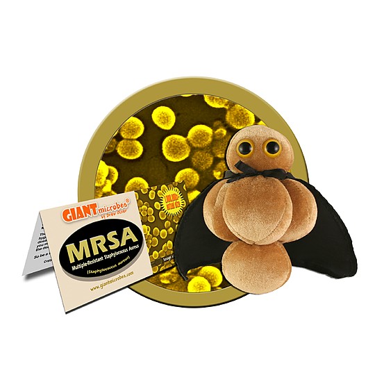 Peluche "MRSA" microbe