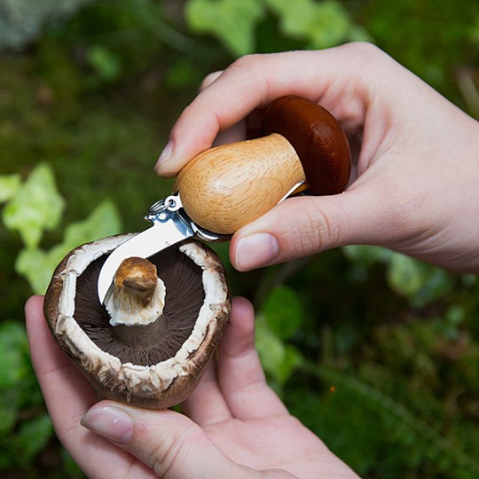Porte-clés multi-outils pour la cueillette des champignons
