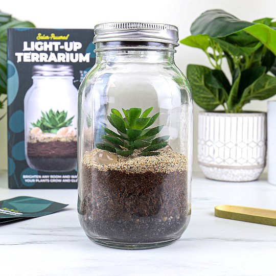 Fabriquez votre propre terrarium à l'intérieur d'un bocal en verre