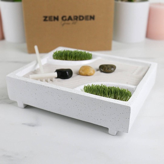 kit de culture mini jardin zen