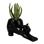 Disponible en deux couleurs