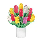 Tulipes