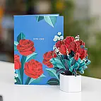 Le bouquet mesure 13,6 cm de haut.