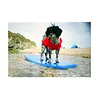 Fonctionne avec des films 35 mm