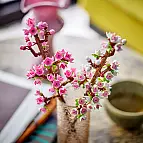 Construit deux belles branches de cerisier en fleurs