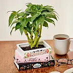 Fabriqué en céramique de haute qualité