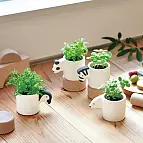 Mini-pot Monokuro avec kit de culture en forme de petit animal