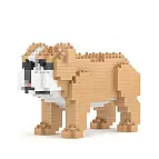 Blocs de construction pour créer un chiot bulldog anglais miniature