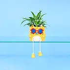 Pot de fleurs original Cool Cat