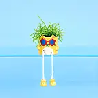 Mini jardinière Cool Cat