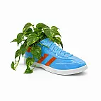 Parfait pour les petites plantes