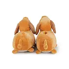 La petite queue du teckel dépasse par derrière