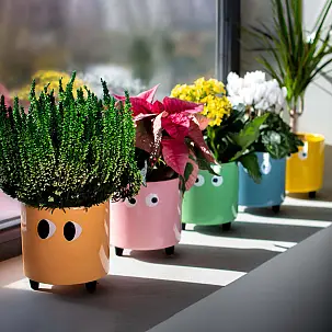 Mini-pot de fleurs avec yeux
