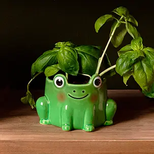 Mini-pot en forme de grenouille