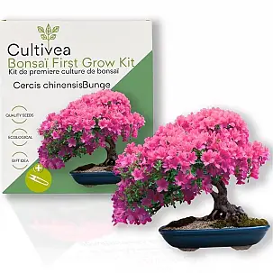 Kit de culture de bonsaïs pour débutants