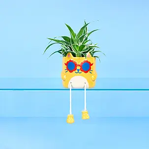 Pot de fleurs original Cool Cat
