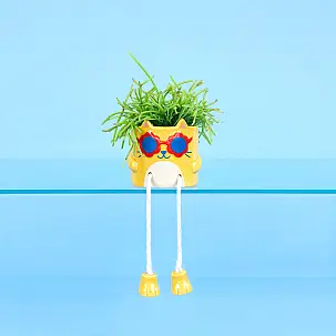 Mini jardinière Cool Cat