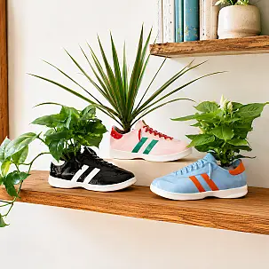 Walking Plant : pot de fleurs original en forme de basket