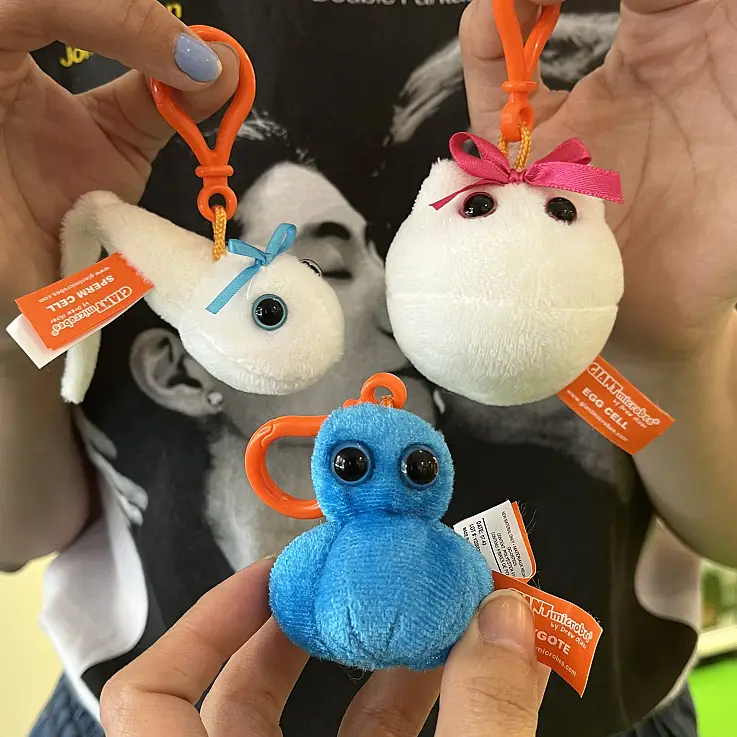 Ils peuvent servir d'outil d'apprentissage