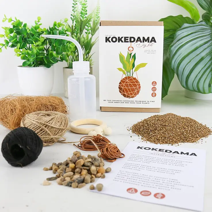 Fabriquez votre propre kokedama