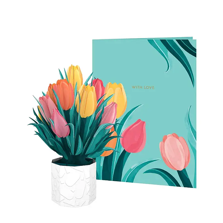 Tulipes