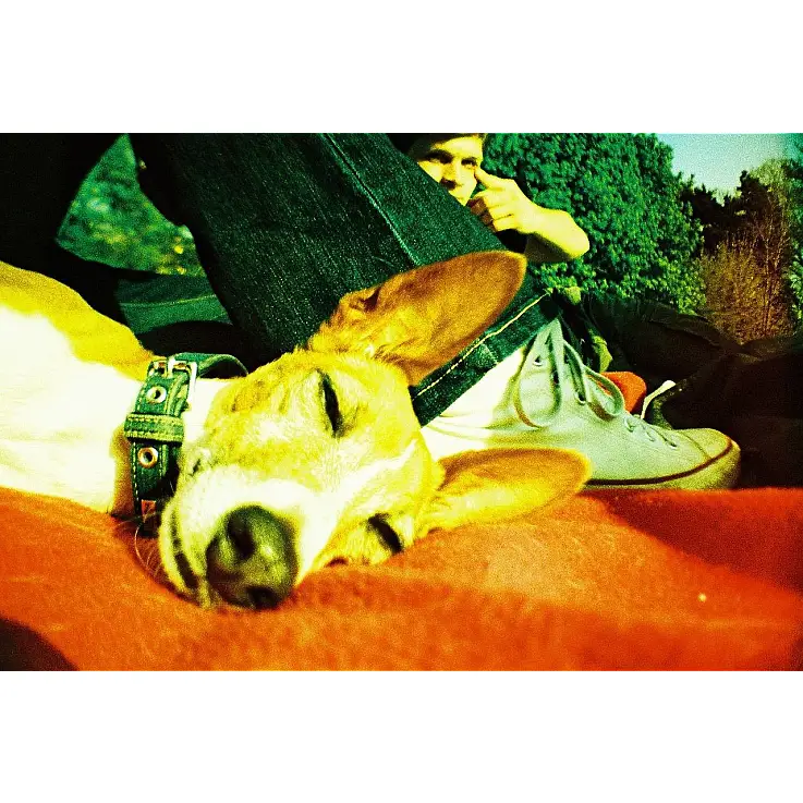 Mode Bulb pour les longues expositions