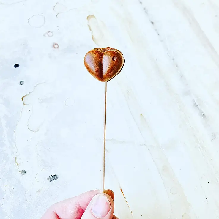 Facile, pratique et délicieux