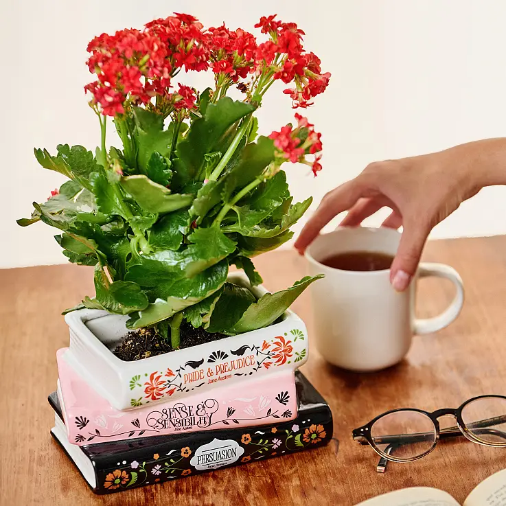 Design original inspiré des livres de Jane Austen