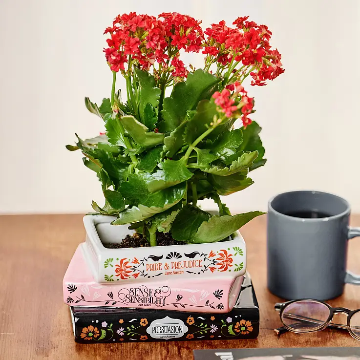 Pot à livres empilés Botanical Trilogy