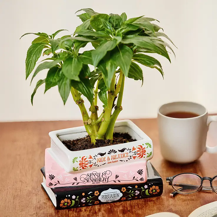 Fabriqué en céramique de haute qualité