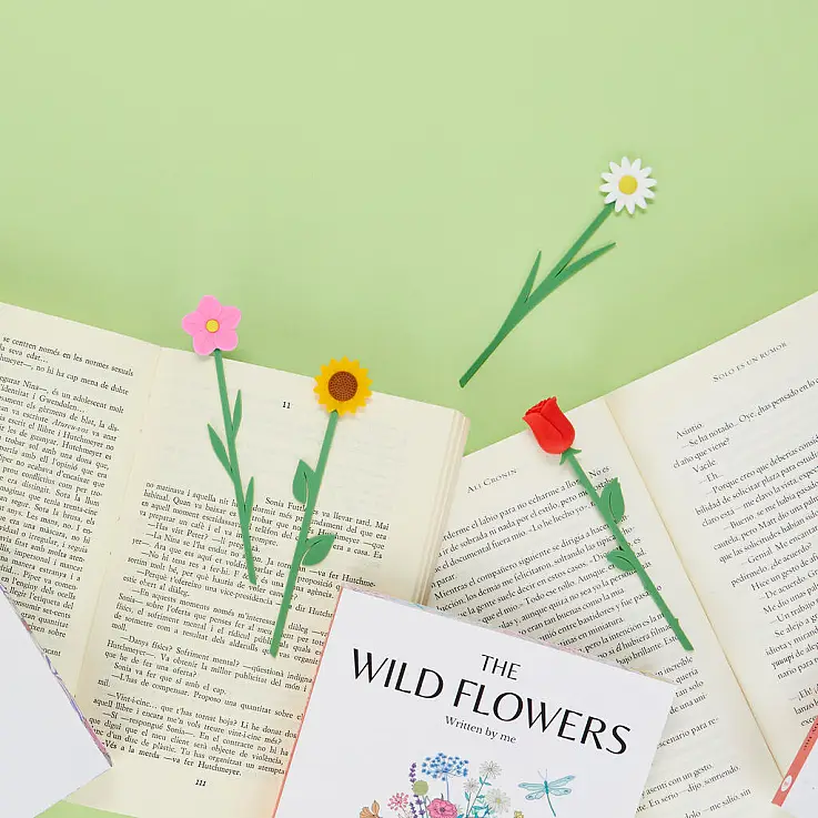 Un design magnifique et délicat