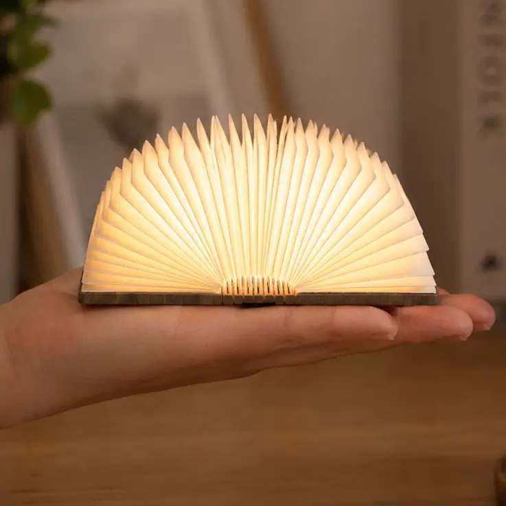 Mini-lampe en forme de livre qui s'allume lorsqu'on l'ouvre