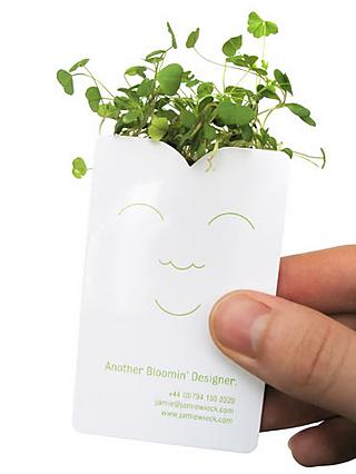 Jamie Wieck’s business card planter 