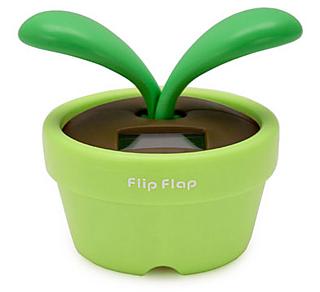 La planta Flip Flap se mueve al recibir luz solar